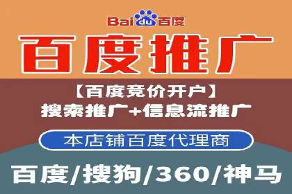 百度竞价排名案例解析：如何快速提升网站流量